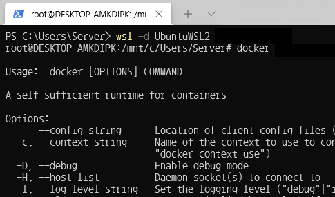 WSL2에서는 Docker가 지원된다.