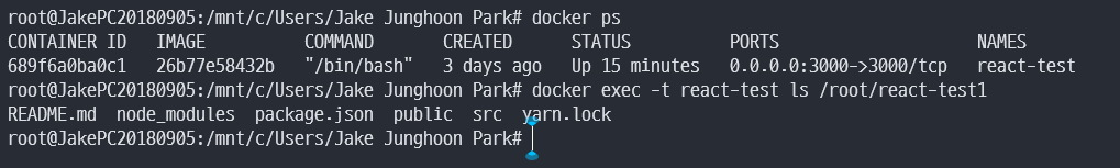 Docker 컨테이너로 명령 보내기