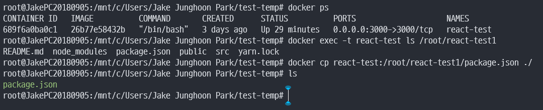 Docker 컨테이너에서 파일 복사